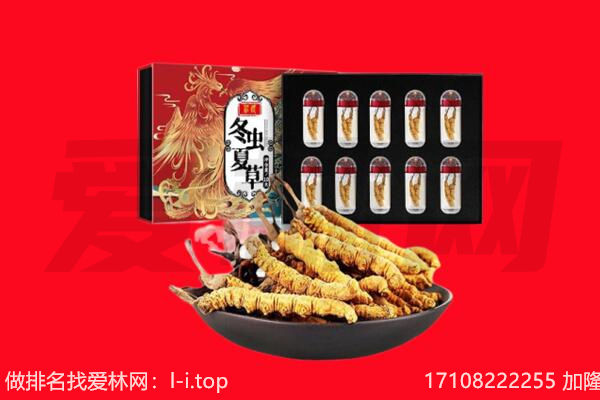 信阳回收虫草.jpg